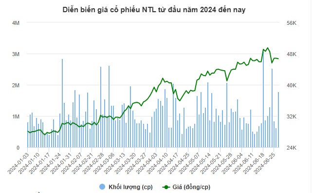 Diễn biến giá cổ phiếu NTL từ đầu năm 2024 đến nay