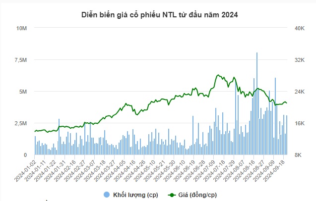 Lợi nhuận sau kiểm toán tăng thêm 250 tỷ đồng, NTL mạnh tay tạm ứng cổ tức 2024 tỷ lệ 12%